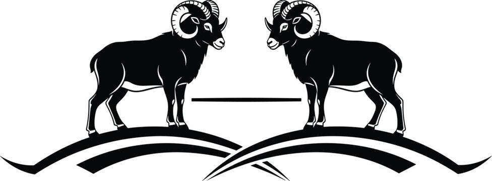 Black vector silhouette of two realistic rams with large curved horns standing on a hill for mountain wilderness nature and wildlife branding