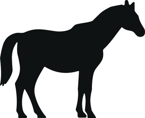 Obraz premium Black horse silhouette standing in profile view, minimal vector illustration for animal design, equine icon, farm livestock graphic art