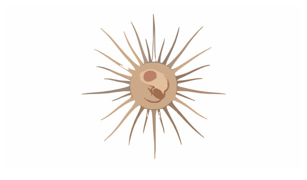 Sun animalcule heliozoan protozoan scientific vector illustration isolated on white