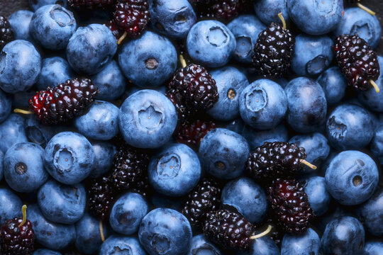 Macro shot of blueberries and mulberries, detailed texture and natural bloom. Healthy antioxidant fruit background
