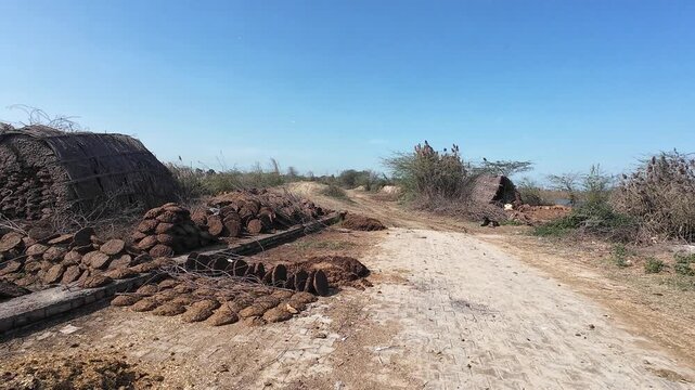 A traditional rural Indian scene showing rows of cow dung cakes drying in the sun to be used as organic biomass fuel.