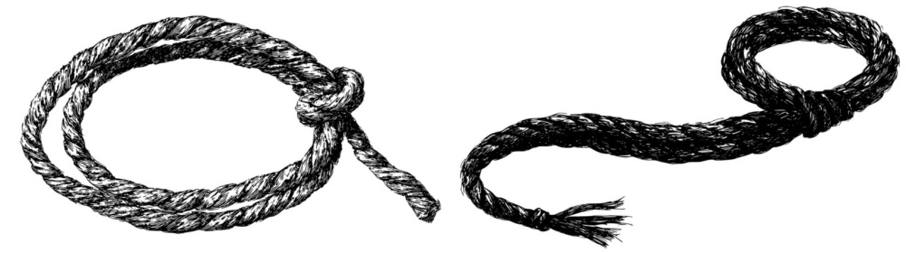 Elegant Twisted Rope Coil