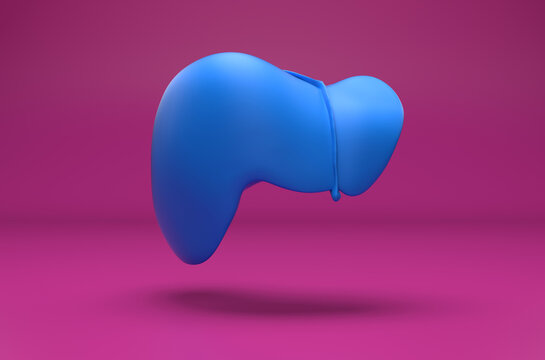 Human liver - isometric view 3d illustration