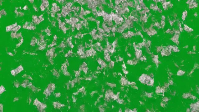 VIDEO dollar money rain animation falls on green screen background
