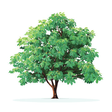 Simple flat 2D vector graphic of Sassafras Tree, modern icon look, displayed on a pure white background.