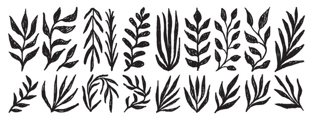 Plant silhouette leaves textured set. Leaves crayon hand drawn foliage simple collection. Trendy nature freehand rough grunge organic shapes. © Yanka
