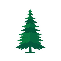 Obraz premium Modern flat 2D vector illustration of Douglas Fir Tree, clean and minimal design, isolated on white background.