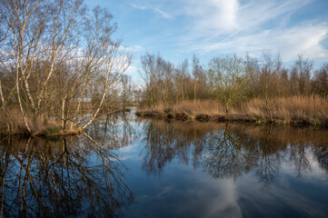 Obraz premium Tranquil River Landscape with Bare Trees and Reflections