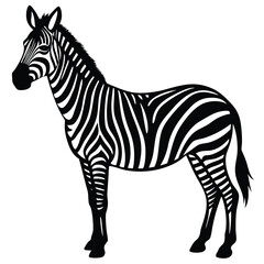 Obraz premium Set of african zebra side and front view cartoon animal design flat vector illustration isolated on white background