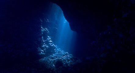 Fototapeta premium Cathedrals of light. Underwater photo of a dreamlike and etheral environment. From cave scuba dive in rays of sunlight. Unspecified.