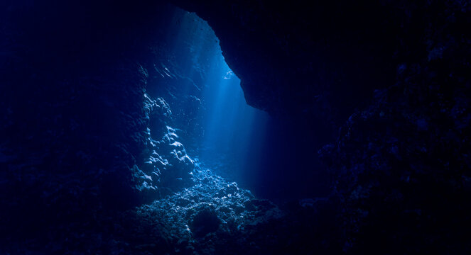 Cathedrals of light. Underwater photo of a dreamlike and etheral environment. From cave scuba dive in rays of sunlight. Unspecified.