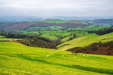 Obraz premium Farms and Fields, Wales, UK