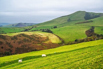 Naklejka premium Farms and Fields, Wales, UK
