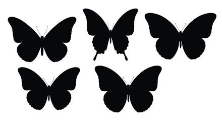 Four black butterflies are displayed in a simple elegant silhouette © mst