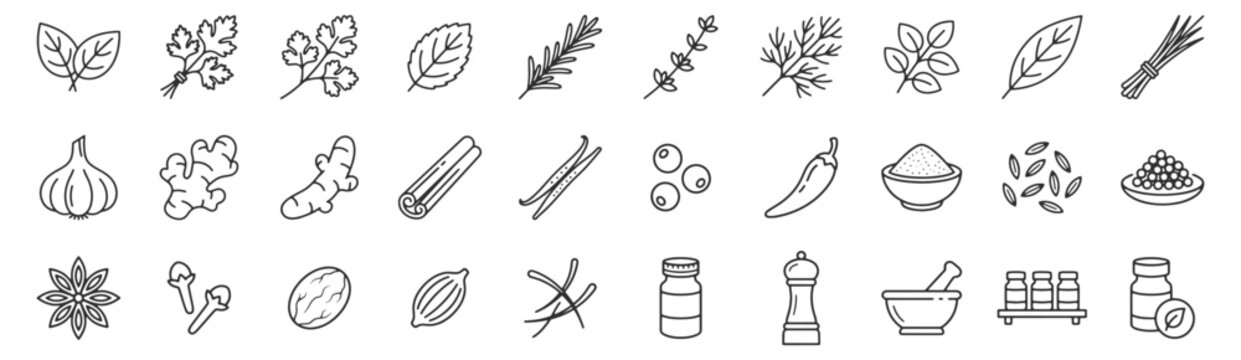 Herbs and spices category navigation line icon set. Basil, parsley, rosemary, garlic bulb, ginger root, cinnamon sticks, chili pepper, star anise, mortar pestle outline vector illustrations.