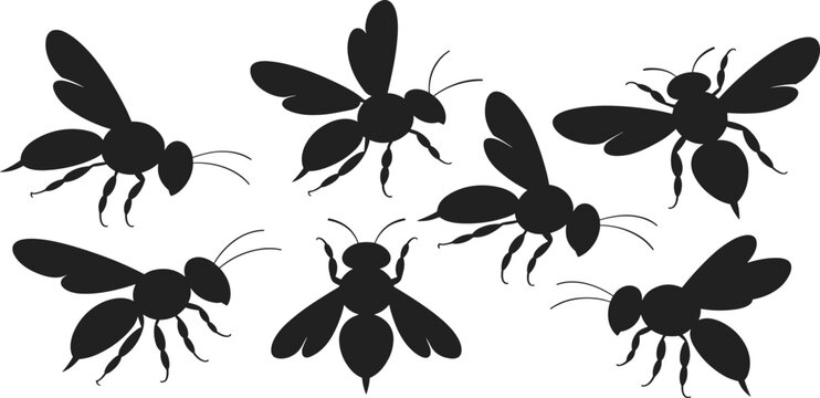 Black bee silhouette set, honeybee and bumblebee flying, group of stinging insects, garden pollination and nature