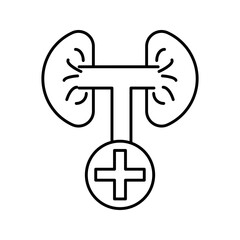 Obraz premium Minimal line icon of kidneys connected with a medical cross symbol, representing kidney health, medical treatment, and healthcare services.