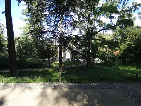 jardin des plantes