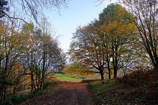 Autumn in the Malvern Hills