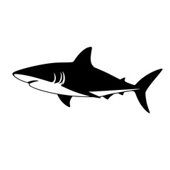 Fototapeta premium shark vector illustration