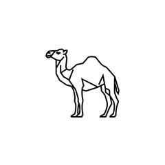 Fototapeta premium A minimalist black outline drawing of a dromedary camel standing in profile.