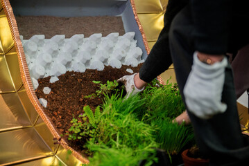 Hands Planting Green Herbs In Decorative Indoor Garden Box