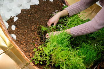 Close Up Of Planting Process With Fresh Green Vegetation