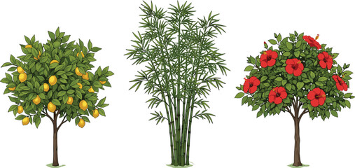 Set of Realistic Vector Fruit Trees and Ornamental Plants Featuring Yellow Lemon Tree Green Bamboo Stalks and Red Hibiscus Bush Isolated on White Background © Farzana