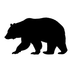 Black silhouette of a walking bear on white background.