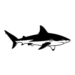 Fototapeta premium Black and white illustration of a shark on a white background.
