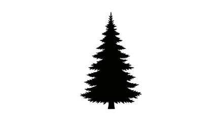 Fototapeta premium Black Silhouette of Pine Tree.