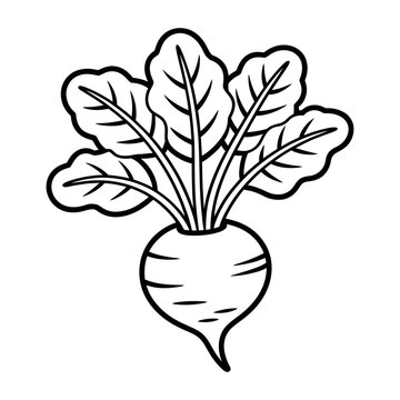Outline drawing of a beet root vegetable with leaves, black and white line art illustration for coloring book page isolated on transparent background