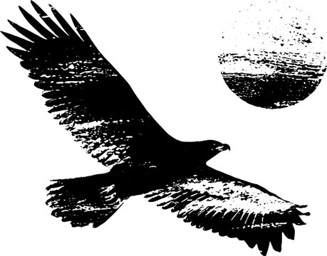 Majestic eagle soaring under sun in high contrast ink design