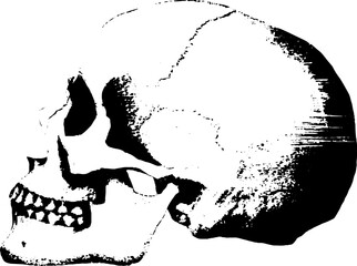 Obraz premium High contrast hooded skull ink art - perfect for halloween decor and tattoo designs