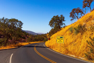 The highway. Sequoia Park