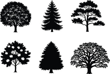 Obraz premium Black tree silhouettes collection, diverse foliage patterns, deciduous and coniferous species, botanical illustration set, nature design elements, educational and decorative vector art