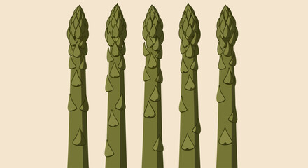 Illustration of asparagus spears standing upright in a row viewed from the side against a neutral background © John