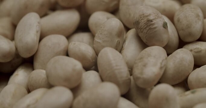 White cannellini beans falling into a bowl. Slow motion, top-down view of dry white cannellini beans falling into a ceramic bowl, filling it up to the brim against a clean white background