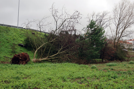 Leiria, Portugal. Destruction of the city after the passage of of Storm Kristin (Portuguese: Tempestade Kristin)  