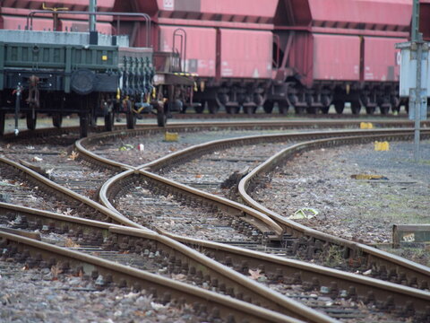 freigFreight railway wagons stand on multiple tracks in a shunting yard, forming an industrial scene of rail transport and logistics. Steel rails, lined cars, and infrastht yard with many freight cars