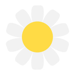 White Daisy Flower Vector Icon