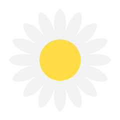 White Daisy Flower Vector Icon