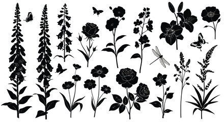 Collection of Black Silhouettes of Flowers and Insects. © Muginandaru
