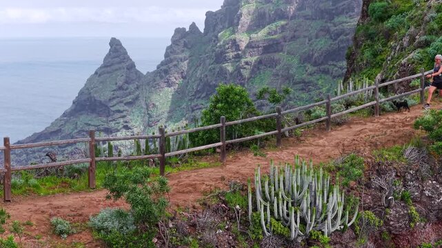 Aerial tracking shot of female hiker on a narrow coastal trail along the dramatic Anaga cliffs in Tenerife