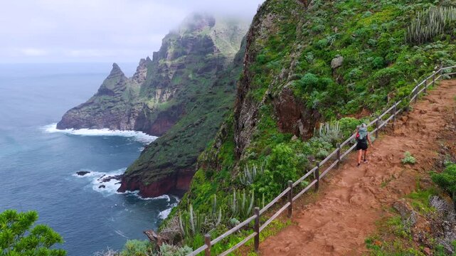 Aerial tracking shot of female hiker on a narrow coastal trail along the dramatic Anaga cliffs in Tenerife