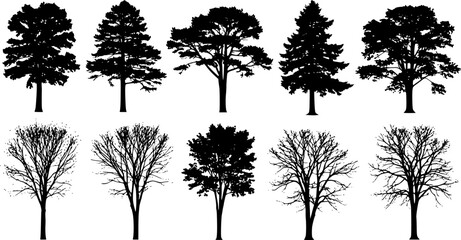 Fototapeta premium Collection of various tree silhouettes 