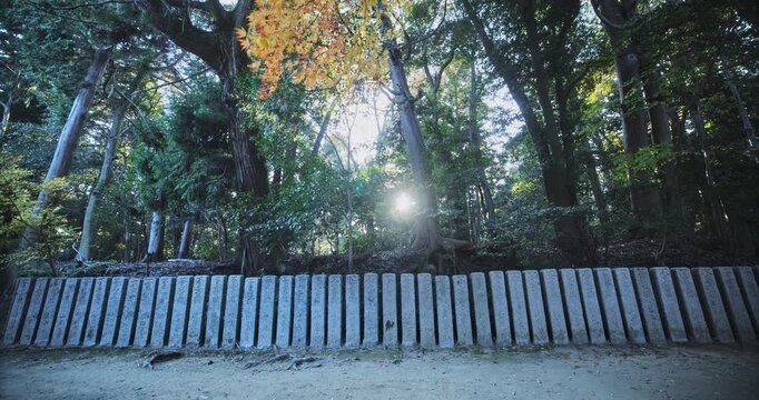 Long stones lined up under beautiful autumn Japanese forest - wide shot