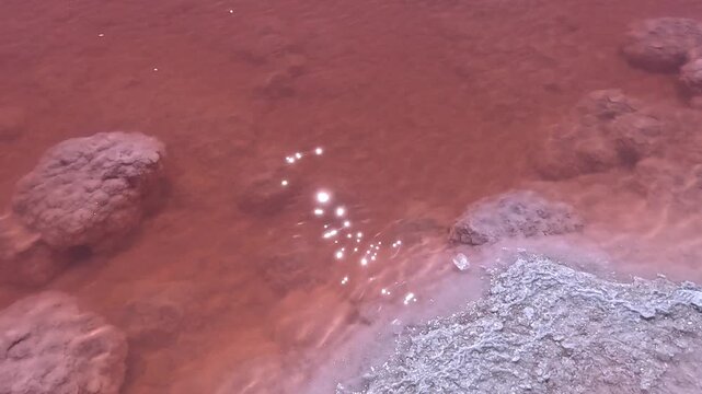 Kuyalnik Estuary, red coloration of the water caused by a bloom of the unicellular halophilic microalga Dunaliella salina