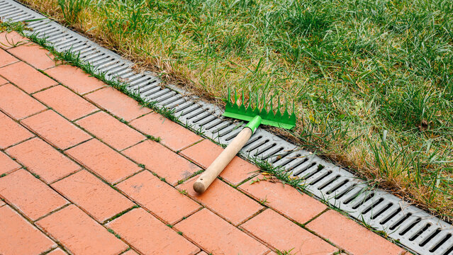 Garden rake on brick sidewalk near lawn edge, outdoor yard work tools, home garden maintenance concept.