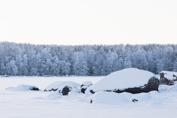 Snow Covered Rocks by Frozen Lake with Frosty Forest in Background